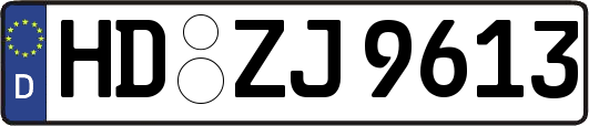 HD-ZJ9613