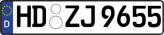 HD-ZJ9655