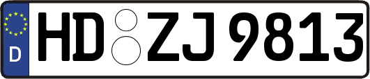 HD-ZJ9813