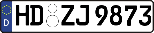 HD-ZJ9873