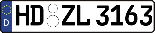 HD-ZL3163