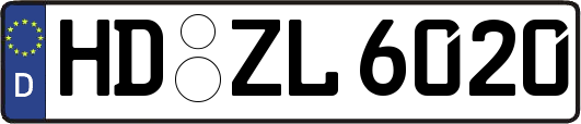 HD-ZL6020
