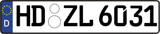 HD-ZL6031