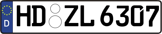 HD-ZL6307
