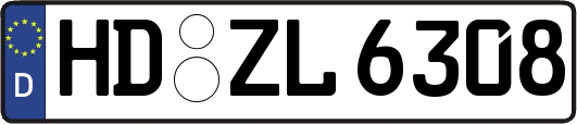 HD-ZL6308