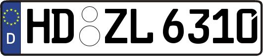 HD-ZL6310