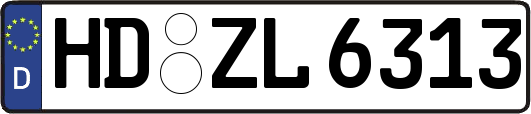 HD-ZL6313
