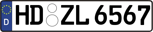 HD-ZL6567
