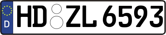 HD-ZL6593