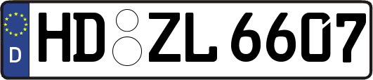 HD-ZL6607