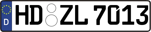 HD-ZL7013