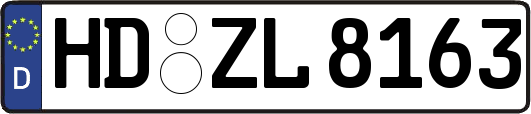 HD-ZL8163