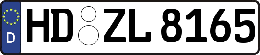 HD-ZL8165