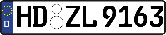HD-ZL9163