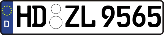 HD-ZL9565