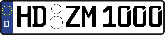HD-ZM1000