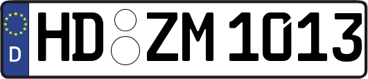 HD-ZM1013