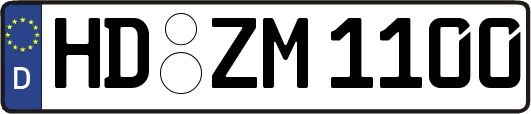 HD-ZM1100