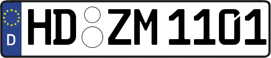 HD-ZM1101