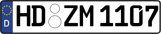 HD-ZM1107