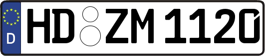 HD-ZM1120