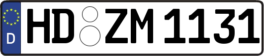HD-ZM1131