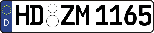 HD-ZM1165