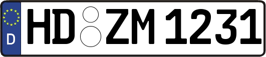 HD-ZM1231
