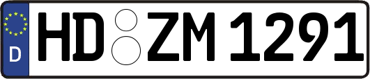 HD-ZM1291