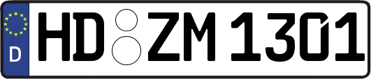 HD-ZM1301