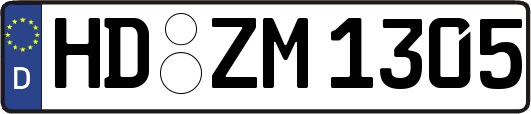 HD-ZM1305