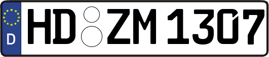 HD-ZM1307