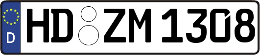 HD-ZM1308