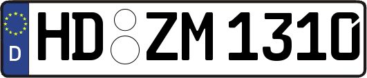 HD-ZM1310