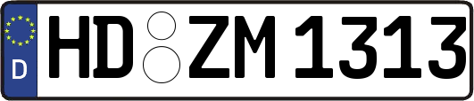 HD-ZM1313