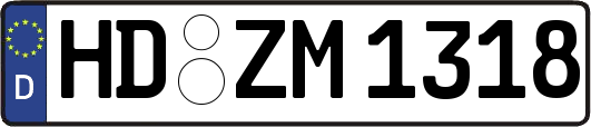 HD-ZM1318