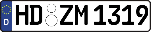 HD-ZM1319