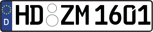 HD-ZM1601