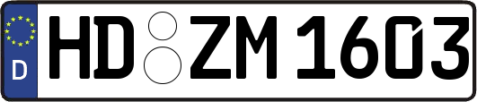 HD-ZM1603