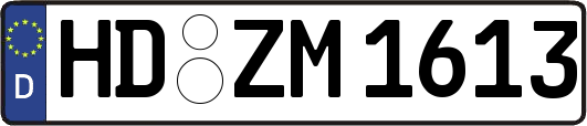 HD-ZM1613