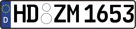 HD-ZM1653
