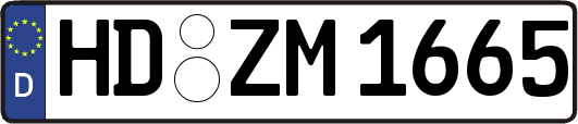 HD-ZM1665