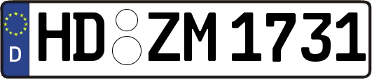 HD-ZM1731