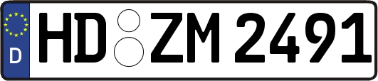 HD-ZM2491