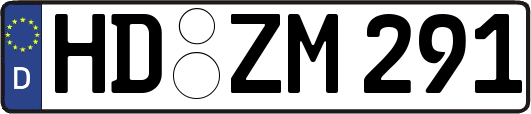 HD-ZM291