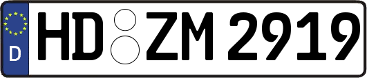 HD-ZM2919