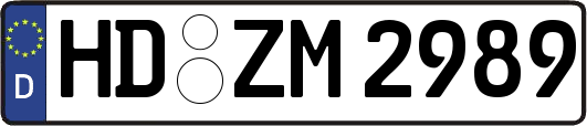 HD-ZM2989