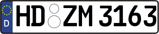 HD-ZM3163