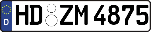 HD-ZM4875