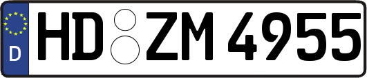 HD-ZM4955